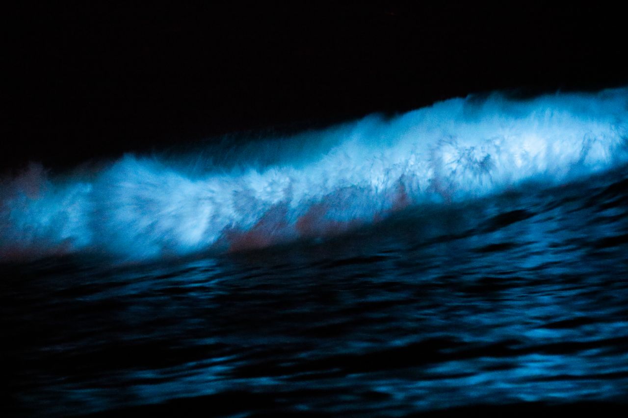 Bioluminescent waves breaking on shore